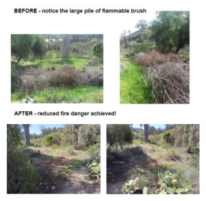 Flammable Brush Pile Removed – Kensington Fire Safe